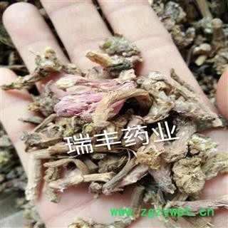 冬花 统 产地 甘肃省图2