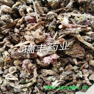 冬花 统 产地 甘肃省图3