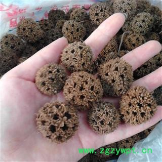 路路通 2021 枫实,枫果,枫木上球,枫香果,枫莍子,九空子,狼目,狼眼,枫树球图2