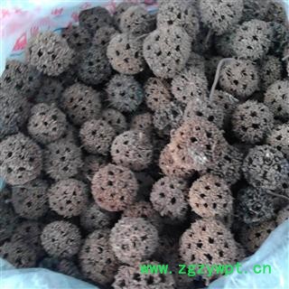 路路通 2021 枫实,枫果,枫木上球,枫香果,枫莍子,九空子,狼目,狼眼,枫树球图3