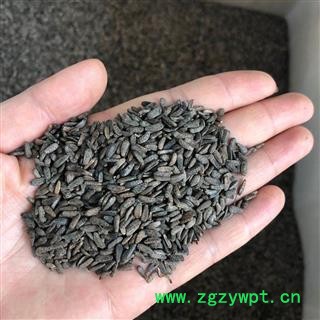 高含量 大力子 牛蒡子 净统 产地 四川省资阳市简阳市图3