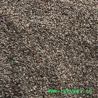 高含量 大力子 牛蒡子 净统 产地 四川省资阳市简阳市图2