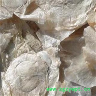 千张纸  木蝴蝶 产地 云南省楚雄彝族自治州楚雄市图3