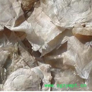 千张纸  木蝴蝶 产地 云南省楚雄彝族自治州楚雄市图2