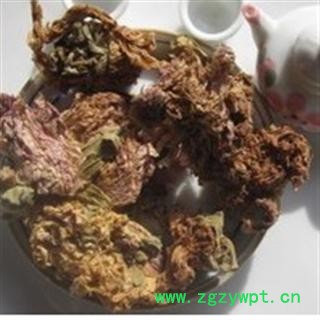 芙蓉花 统 产地 云南省思茅市市辖区图2