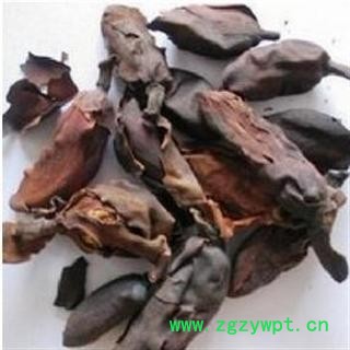 厚朴花 统 产地 四川省广元市旺苍县图3