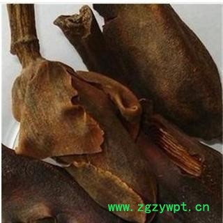 厚朴花 统 产地 四川省广元市旺苍县图2