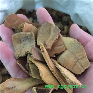 亳州花田错药业龟板图2