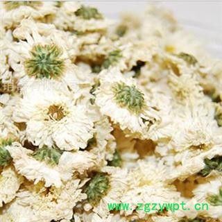 贡菊花 统 产地 亳州药市 库存 100图2