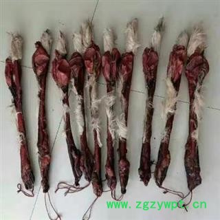 鹿鞭 鹿鞭干品重200克左右产地直供支持货到付款 产地 吉林省白山市抚松县