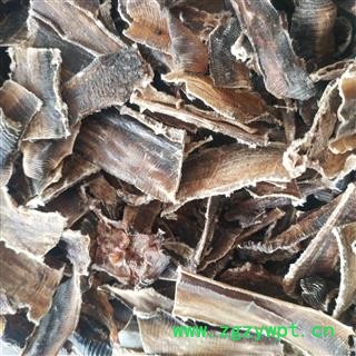 广地龙全开段【国舜堂】产地货源 规格齐全 量大从优 中药材批发供应【地龙】图4