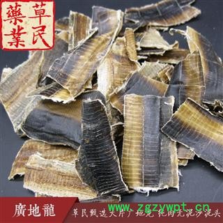 草民甄选全开地龙 大片广地龙 纯肉无泥沙泥头 专业批发量大从优图3