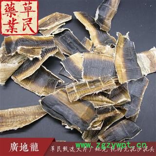 草民甄选全开地龙 大片广地龙 纯肉无泥沙泥头 专业批发量大从优图2