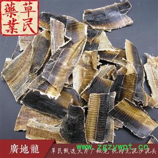 草民甄选全开地龙 大片广地龙 纯肉无泥沙泥头 专业批发量大从优图4