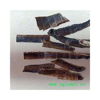 地龙 广地龙全开个 产地 广西壮族自治区  小影全品类中药材店铺