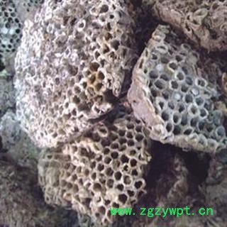 蜂房 软蜂房统货 产地 山东省 小影全品类中药材店铺图3