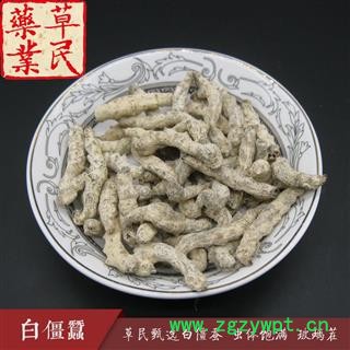 草民甄选白僵蚕 虫体饱满 玻璃茬 不掺假 正品天虫 专业批发 量大从优图3