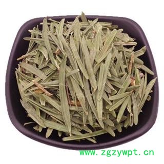 三尖杉叶 榧子 血榧 石榧 藏杉 水柏子 桃松 正品保证质量7天无理由退货退款 华安堂图2