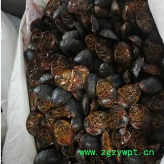 土元 统货 产地 山东省图2