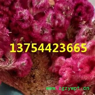 鸡冠花 鸡冠花去梗统货 产地 河北省 安国市场批发零售大全图2