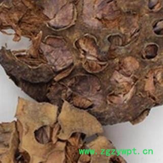 中药材莲房统 产地山东省 批发莲房安国市场批发零售大全图2