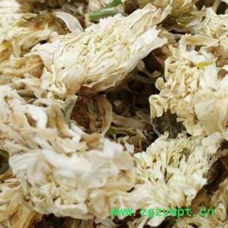 中药材无硫菊花 怀菊花 白菊花 祁菊花 产地河北安国市场批发零售大全图2