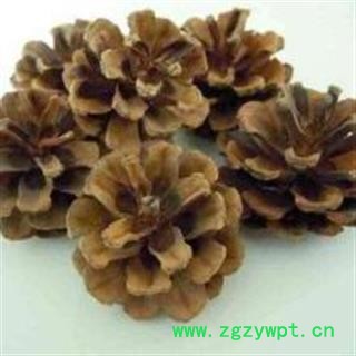 白松塔 松塔 松球 松果正品保证质量7天无理由退货退款 安品堂图3