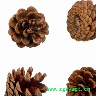 白松塔 松塔 松球 松果正品保证质量7天无理由退货退款 安品堂图2