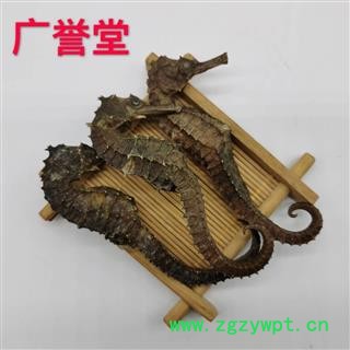 海马 统 产地 广东省图3