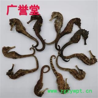 海马 统 产地 广东省图4