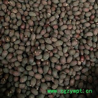 新辉药业中药材 蒲葵 葵扇子 扇叶葵图2