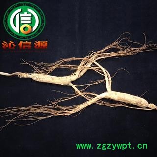【满包邮】山参3年小参吉林产地直供林下参 野山参沁信源中药材批发图4