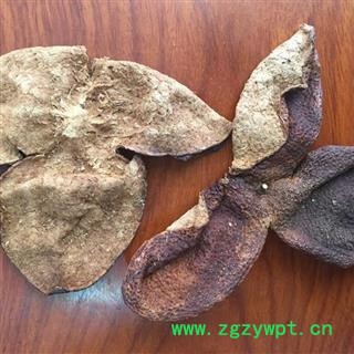 新辉药业正品陈皮 新会陈皮 10年图2