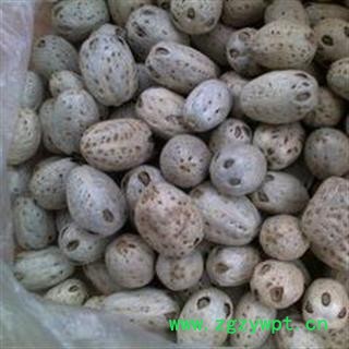 新辉药业中药材广枣 五眼果图2