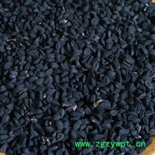 新辉药业正品黑种草子  赛拉纳赫布图3