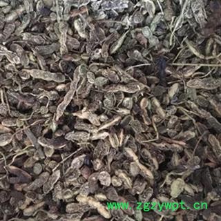 新辉药业中药材槐角 槐豆 槐实  槐子图2