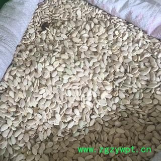 新辉药业正品新货 冬瓜子 双边冬瓜子 优质无硫图3