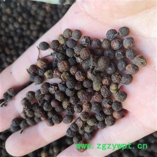 新辉药业正品荜澄茄  山苍子 山香椒 山香根 豆豉姜图3