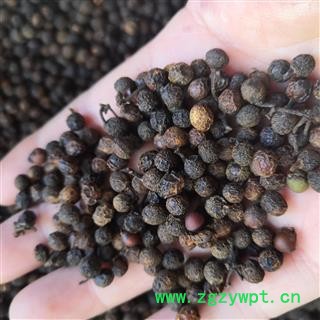 新辉药业正品荜澄茄  山苍子 山香椒 山香根 豆豉姜图2