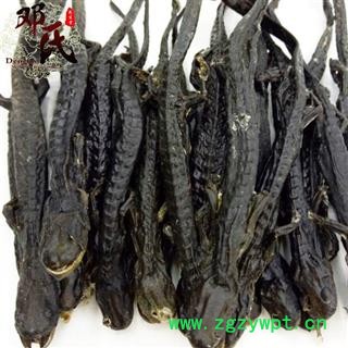 羌活鱼 羌活鱼 干条 统货 产地 四川省阿坝藏族羌族自治州阿坝县 邓氏图2