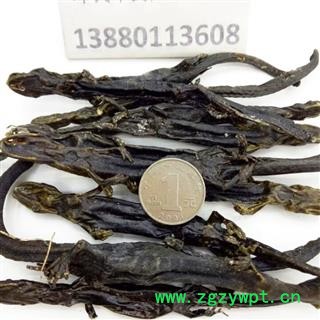 羌活鱼 羌活鱼 干条 统货 产地 四川省阿坝藏族羌族自治州阿坝县 邓氏图4