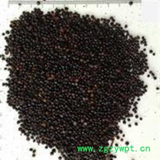 新辉药业正品花椒 花椒籽 椒目 花椒目图2