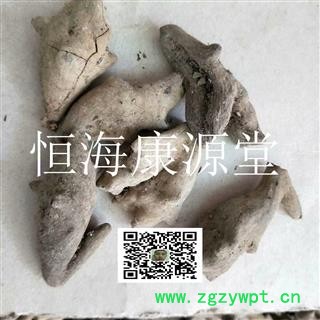 五倍子 肚倍  角倍 统  选 产地 四川省攀枝花市图4