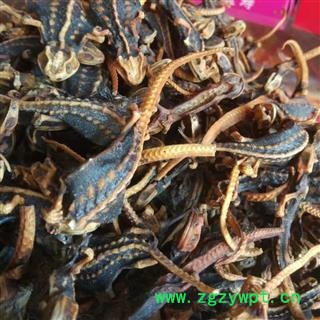 海狗 统 产地 江苏省图3