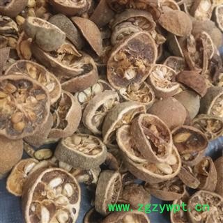 新辉药业枸橘子 枸橘李  臭枳子图2