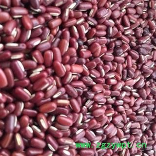 新辉药业优质红豆 赤小豆图2