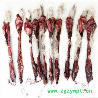 鹿鞭 马鹿鞭，重200克以上 产地 吉林省白山市抚松县