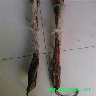 鹿鞭 马鹿鞭，重200克以上 产地 吉林省白山市抚松县图3
