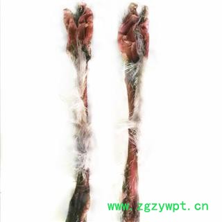 鹿鞭 马鹿鞭，重200克以上 产地 吉林省白山市抚松县图2