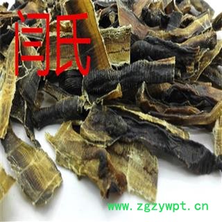 地龙 广地龙半开个 产地 海南省海口市龙华区图3